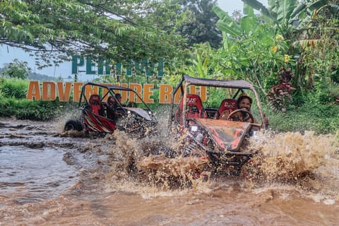 UTV Buggy Adventure in Bali - Thrills in the Heart of Nature - Image 2