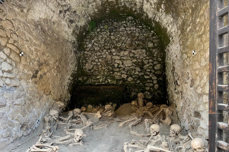 From Naples: Explore the Herculaneum Ruins and Vesuvius HERCULANEUM AND VESUVIUS: TOUR FROM NAPLES BY BUS