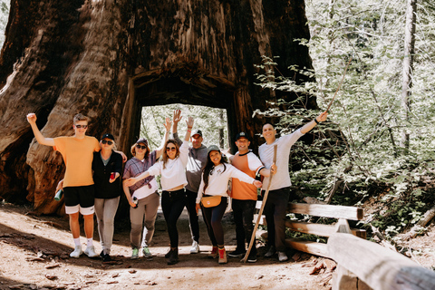 From San Francisco: 2-Day Yosemite Guided Trip with Pickup