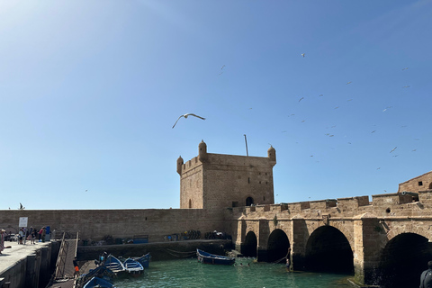 From Marrakech: Essaouira Day Trip with Optional Activities