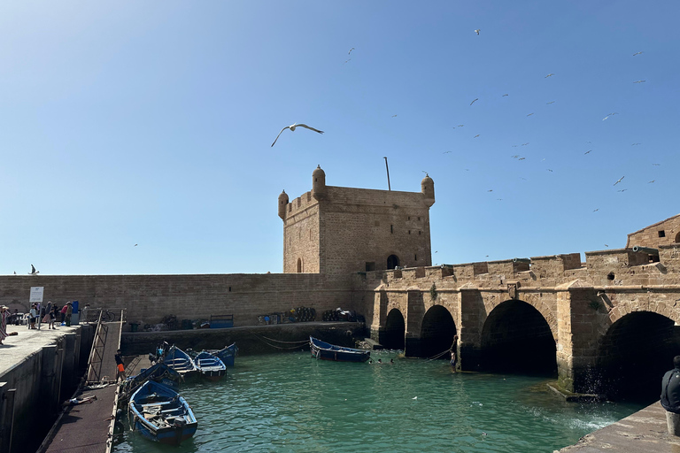From Marrakech: Essaouira Day Trip with Optional Activities