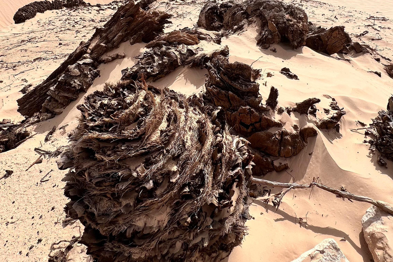 Immersione nel Sahara: un&#039;avventura di 2 notti con campo e bivaccoImmersione nel Sahara: avventura di 2 notti con campo e bivacco