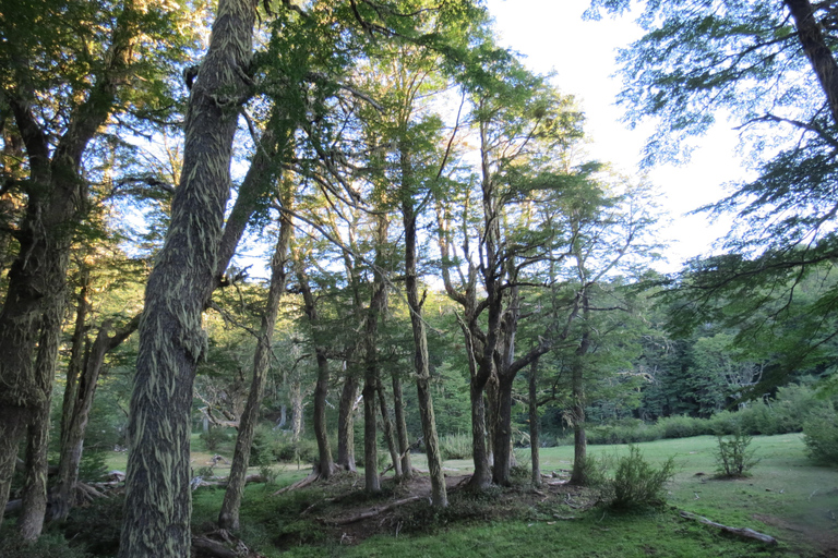 San Martin de los Andes Sightseeing Tour: Mallin Grande
