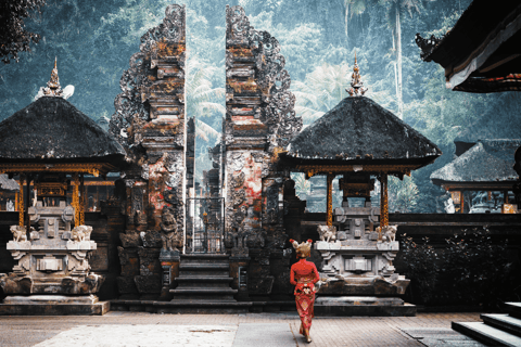 Bali: Ubud Tour with Sacred Monkey Forest & Rice Terraces