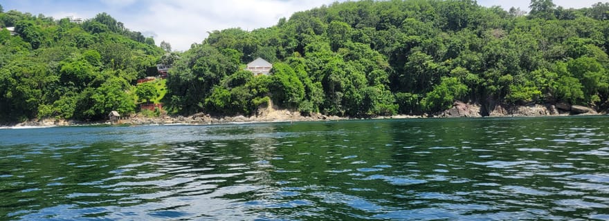 Snorkeling et barbecue sur la côte