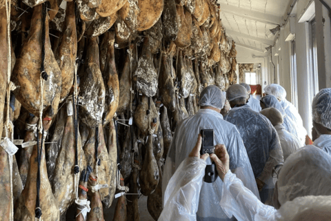 萨拉曼卡：伊比利亚火腿大师班与品鉴萨拉曼卡：伊比利亚火腿大师班与品鉴会