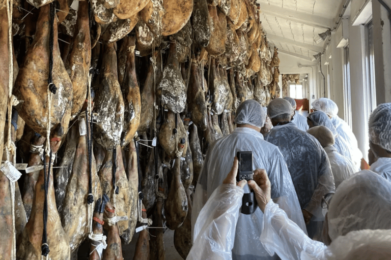 萨拉曼卡：伊比利亚火腿大师班与品鉴萨拉曼卡：伊比利亚火腿大师班与品鉴会