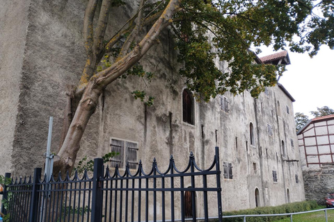 Individual excursion in Tallinn