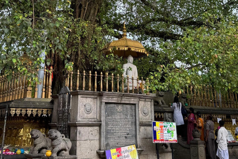 From Negombo: Kelaniya Rajamaha Vihara Guided Temple Tour