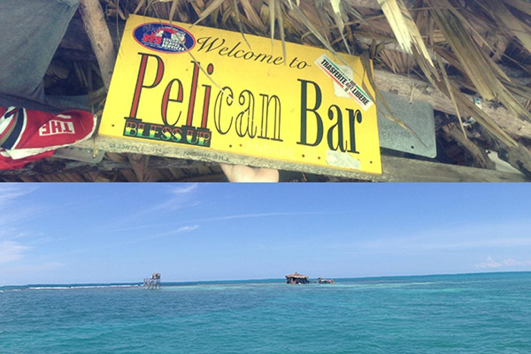 Zipline, YS Falls &amp; Pelican Bar Private Tour From MontegoBayZipline, YS Falls&amp; Pelican Bar Private Tour From Montego Bay