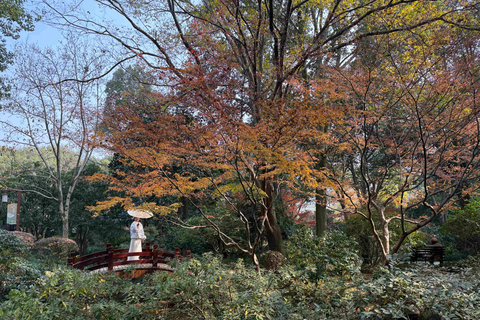 Hangzhou Private Tour: One to 4 days Option Selectable 3-Day Tour, Explore Hangzhou in Depth