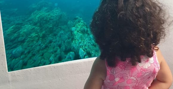 Paphos: Swim Cruise with Turtle Watching, Drinks & Aperol
