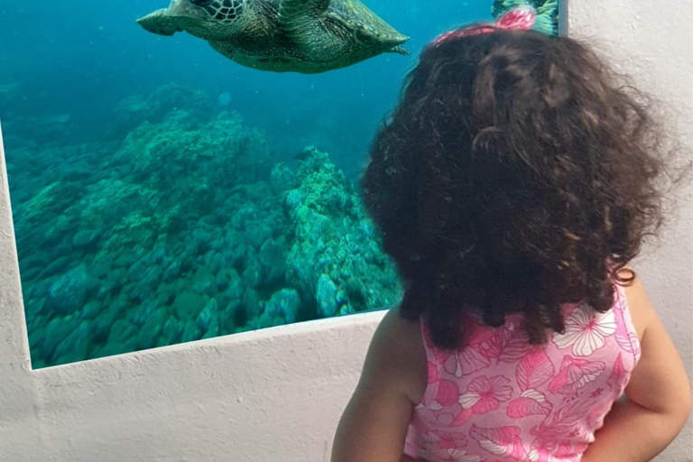 Larnaca: Mini crociera in sottomarino giallo con sosta per nuotare