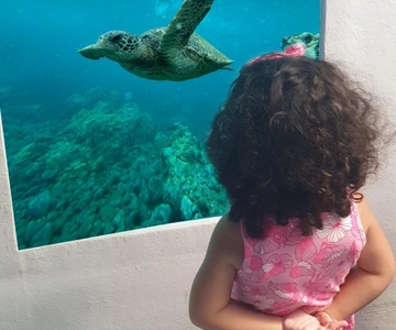 Paphos : Croisière de baignade avec observation des tortues, boissons et Aperol