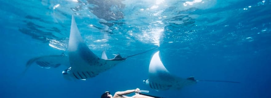 Plongée et visite panoramique de Nusa Penida depuis Bali