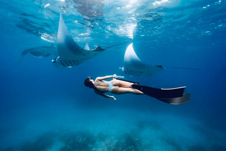 Nusa Penida Snorkeling & Scenic Island Tour from Bali Pick up from accommodation and port in nusa penida.