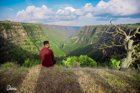 Bale Mountains: 3-tägige geführte Wanderung mit Wildtieren und Camping