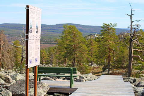 Rovaniemi: Övertorneå e a colina Aavasaksa. História e natureza