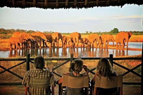 2 days 1 night saltlick safari from Diani/Mombasa.