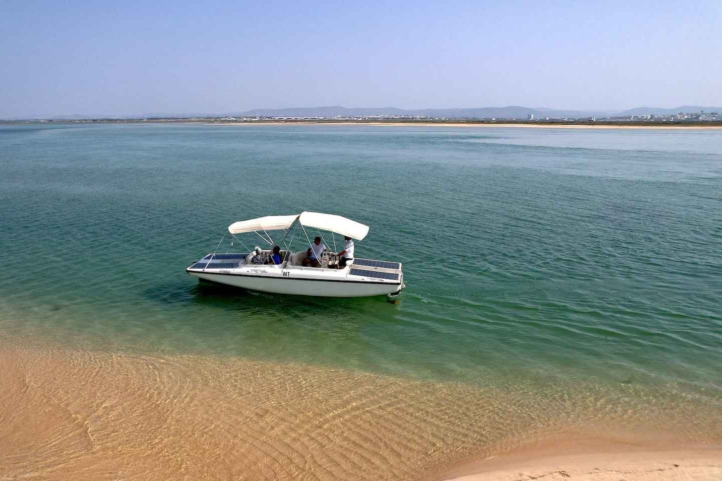 Faro: Ria Formosa Eco Birdwatching Boat Tour