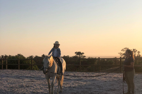 Costa Alentejana: Horse tour in Serra de Grândola