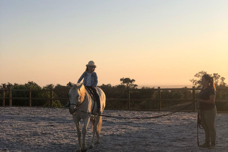 Costa Alentejana: Horse tour in Serra de Grândola