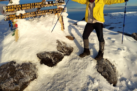 Monte Kilimanjaro: Caminhada de 7 dias pela rota LemoshoEscalada privada do Kilimanjaro, 7 dias, rota Lemosho
