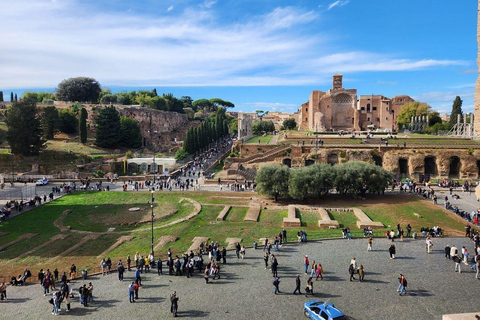 Rome: Colosseum, Forum and Palatine Hill Entry Colosseum with Arena access, Forum and Palatine Hill Entry