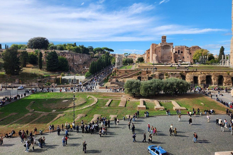 Rome: Colosseum, Forum and Palatine Hill Entry Colosseum with Arena access, Forum and Palatine Hill Entry