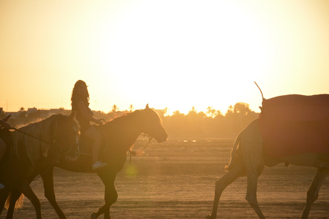 Promenade à cheval au lever du soleil à Djerba : Un moment magique