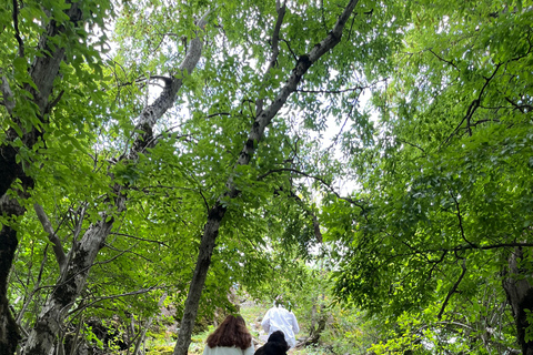Bakú: excursión de escalada al castillo de hadas de Zagatala con acampadaBakú: Excursión al castillo encantado de Zagatala con acampada