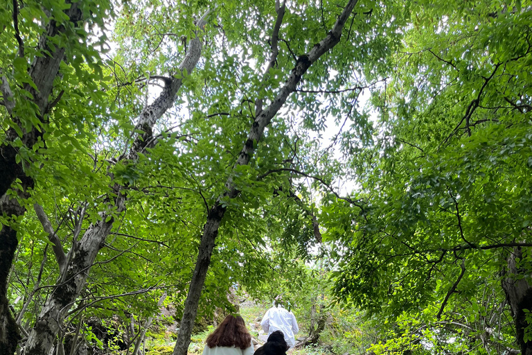 Bakú: excursión de escalada al castillo de hadas de Zagatala con acampadaBakú: Excursión al castillo encantado de Zagatala con acampada