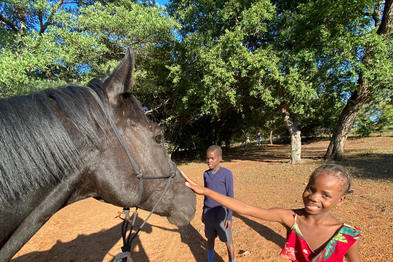Victoria Falls: African Village Community Tour on Horseback
