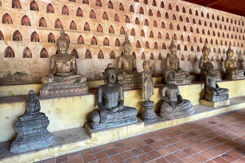 Vientiane: City Day Tour with New Laos Art Museum Join tour