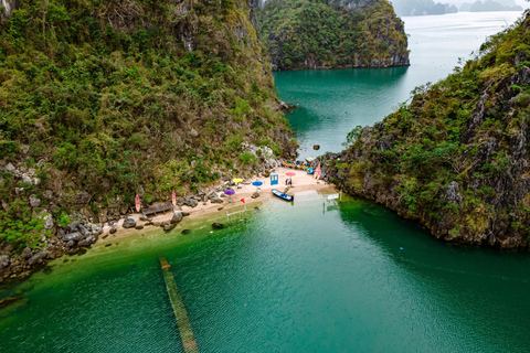 Hanoi: Bai Tu Long Bay Luxury Day Cruise with Lunch & Kayak