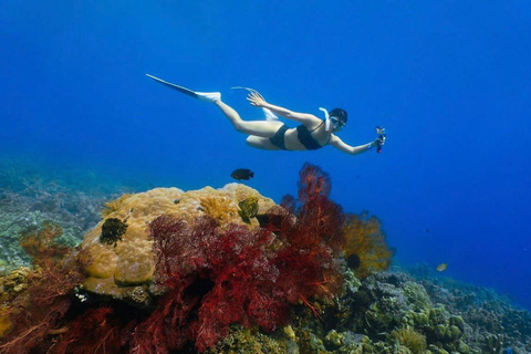 Bali : Aventure de plongée en apnée sur les plages d'Amed, de Jemeluk et de LipahExcursion de plongée en apnée avec point de rencontre dans la baie de Jemeluk