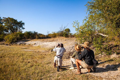 Victoria Falls: Game Walk in the Zambezi National Park Morning Game Walk