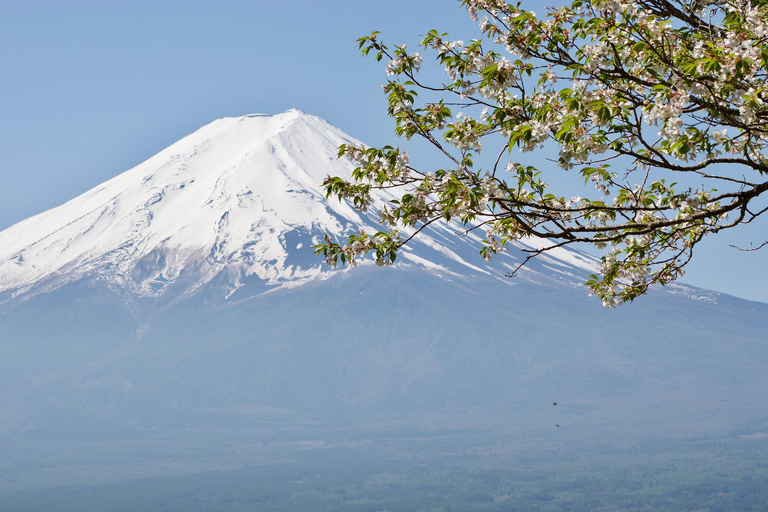 From Tokyo: Mount Fuji day Trip with English Speaking Driver From Tokyo: Private 1-Day Mount Fuji Charter with Driver