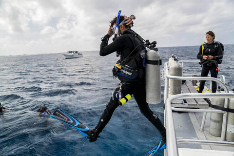 Hurghada: PADI Diving Courses packages open water course "3 days duration"