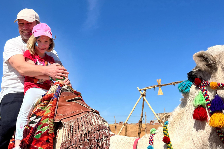 Baia di Makadi: Cena beduina di lusso BADU e osservazione delle stelleHurghada: Cena beduina di lusso BADU e osservazione delle stelle