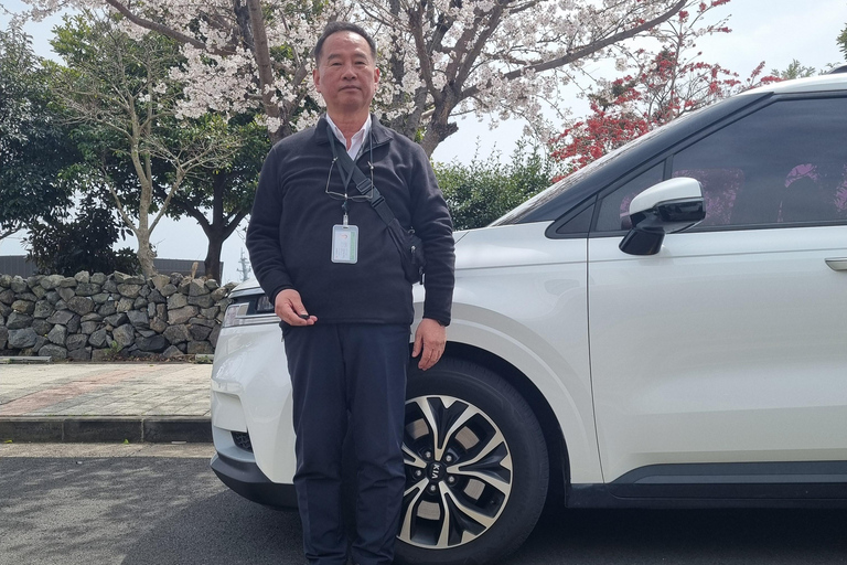 Jeju: Bespoke Sightseeing Tours with Licensed Tour Guide