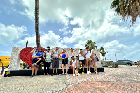 Tour de l&#039;île de St. Maarten en une seule fois