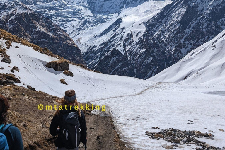 Kort Annapurna Base Camp Trek: 5 dagar från Pokhara: PokharaPrivat guidad vandring i Annapurna Basecamp utan måltider