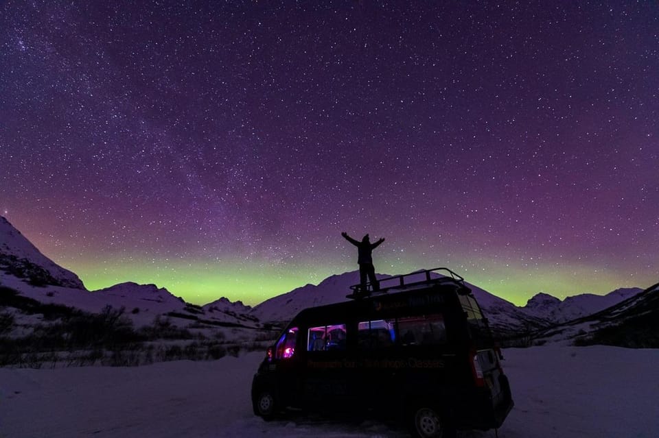 Anchorage Aurora Borealis Northern Lights Photo Tour GetYourGuide