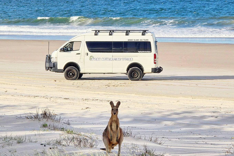 Escursione di un giorno all&#039;isola di Bribie da Brisbane