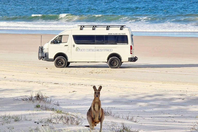 Escursione di un giorno all&#039;isola di Bribie da Brisbane