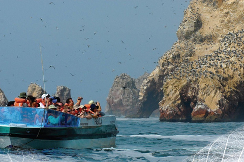 From Ica: Paracas and Ballestas Islands Full-Day Tour