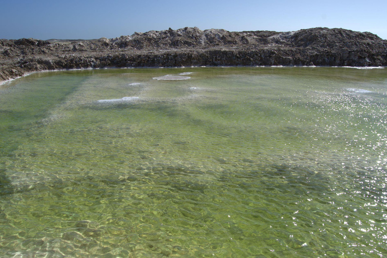 Cape Cross, Seals and River Desert Nature Tour [New Route]