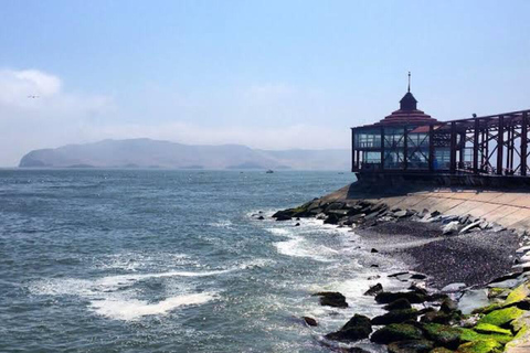 Lima: Tour a Isla Palomino Aventura Marina