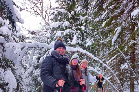 Tromsø Street to Wilderness: Guided Snowshoe Hike
